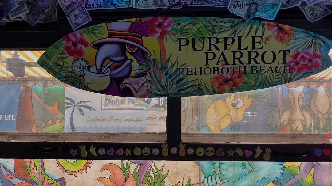 The Purple Parrot Rehoboth Beach surfboard sign above painted murals and dollar-bill decor